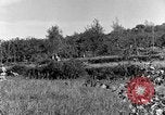 Standbild 30 Infanterie fortschreitende Zweiten Weltkrieg Pietravairano Italien, 1943, aus Sekunde 45 historischem Filmmaterial Videoclip 65675076935