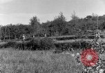 Standbild 30 Infanterie fortschreitende Zweiten Weltkrieg Pietravairano Italien, 1943, aus Sekunde 47 historischem Filmmaterial Videoclip 65675076935
