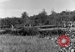 Standbild 30 Infanterie fortschreitende Zweiten Weltkrieg Pietravairano Italien, 1943, aus Sekunde 48 historischem Filmmaterial Videoclip 65675076935