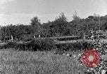 Standbild 30 Infanterie fortschreitende Zweiten Weltkrieg Pietravairano Italien, 1943, aus Sekunde 49 historischem Filmmaterial Videoclip 65675076935