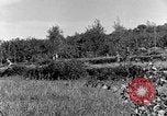 Standbild 30 Infanterie fortschreitende Zweiten Weltkrieg Pietravairano Italien, 1943, aus Sekunde 50 historischem Filmmaterial Videoclip 65675076935