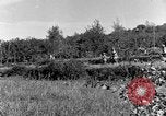 Standbild 30 Infanterie fortschreitende Zweiten Weltkrieg Pietravairano Italien, 1943, aus Sekunde 51 historischem Filmmaterial Videoclip 65675076935