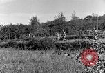Standbild 30 Infanterie fortschreitende Zweiten Weltkrieg Pietravairano Italien, 1943, aus Sekunde 52 historischem Filmmaterial Videoclip 65675076935