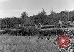 Standbild 30 Infanterie fortschreitende Zweiten Weltkrieg Pietravairano Italien, 1943, aus Sekunde 53 historischem Filmmaterial Videoclip 65675076935
