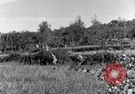 Standbild 30 Infanterie fortschreitende Zweiten Weltkrieg Pietravairano Italien, 1943, aus Sekunde 55 historischem Filmmaterial Videoclip 65675076935