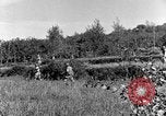 Standbild 30 Infanterie fortschreitende Zweiten Weltkrieg Pietravairano Italien, 1943, aus Sekunde 57 historischem Filmmaterial Videoclip 65675076935