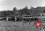 Standbild 30 Infanterie fortschreitende Zweiten Weltkrieg Pietravairano Italien, 1943, aus Sekunde 58 historischem Filmmaterial Videoclip 65675076935