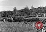 Standbild 30 Infanterie fortschreitende Zweiten Weltkrieg Pietravairano Italien, 1943, aus Sekunde 59 historischem Filmmaterial Videoclip 65675076935
