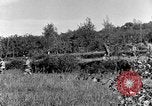 Standbild 30 Infanterie fortschreitende Zweiten Weltkrieg Pietravairano Italien, 1943, aus Sekunde 60 historischem Filmmaterial Videoclip 65675076935
