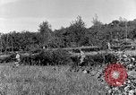Standbild 30 Infanterie fortschreitende Zweiten Weltkrieg Pietravairano Italien, 1943, aus Sekunde 61 historischem Filmmaterial Videoclip 65675076935
