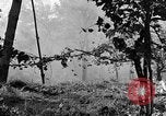 Image of 30th Infantry firing rocket launchers Pietravairano Italy, 1943, second 46 stock footage video 65675076936