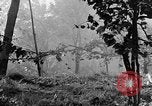 Image of 30th Infantry firing rocket launchers Pietravairano Italy, 1943, second 53 stock footage video 65675076936