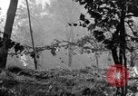 Image of 30th Infantry firing rocket launchers Pietravairano Italy, 1943, second 59 stock footage video 65675076936