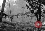 Image of 30th Infantry firing rocket launchers Pietravairano Italy, 1943, second 60 stock footage video 65675076936