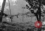 Image of 30th Infantry firing rocket launchers Pietravairano Italy, 1943, second 61 stock footage video 65675076936