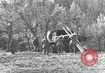 Image of 696th Engineer Petroleum Distribution Company Italy, 1943, second 15 stock footage video 65675076937