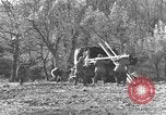 Image of 696th Engineer Petroleum Distribution Company Italy, 1943, second 16 stock footage video 65675076937