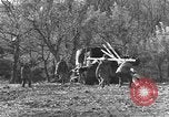 Image of 696th Engineer Petroleum Distribution Company Italy, 1943, second 18 stock footage video 65675076937