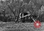 Image of 696th Engineer Petroleum Distribution Company Italy, 1943, second 21 stock footage video 65675076937