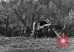 Image of 696th Engineer Petroleum Distribution Company Italy, 1943, second 22 stock footage video 65675076937