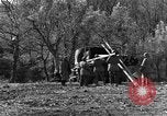Image of 696th Engineer Petroleum Distribution Company Italy, 1943, second 24 stock footage video 65675076937