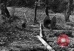 Image of 696th Engineer Petroleum Distribution Company Italy, 1943, second 60 stock footage video 65675076937