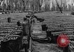 Image of United States soldiers Italy, 1943, second 17 stock footage video 65675076939