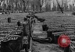 Image of United States soldiers Italy, 1943, second 18 stock footage video 65675076939