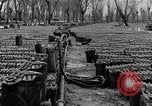 Image of United States soldiers Italy, 1943, second 20 stock footage video 65675076939