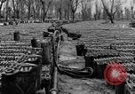 Image of United States soldiers Italy, 1943, second 21 stock footage video 65675076939