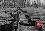 Image of United States soldiers Italy, 1943, second 22 stock footage video 65675076939