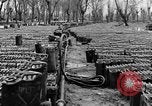 Image of United States soldiers Italy, 1943, second 23 stock footage video 65675076939