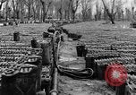 Image of United States soldiers Italy, 1943, second 24 stock footage video 65675076939