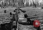 Image of United States soldiers Italy, 1943, second 25 stock footage video 65675076939