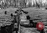 Image of United States soldiers Italy, 1943, second 27 stock footage video 65675076939