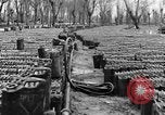 Image of United States soldiers Italy, 1943, second 30 stock footage video 65675076939