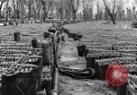 Image of United States soldiers Italy, 1943, second 31 stock footage video 65675076939