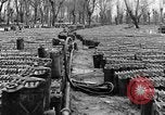 Image of United States soldiers Italy, 1943, second 32 stock footage video 65675076939
