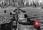 Image of United States soldiers Italy, 1943, second 33 stock footage video 65675076939