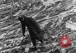 Immagine di Soldati statunitensi Presenzano Italia, 1944, secondo 6 filmato di repertorio 65675076941