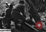 Immagine di Soldati cinesi La Birmania, 1943, secondo 27 filmato di repertorio 65675076943
