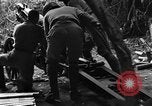 Immagine di Soldati cinesi La Birmania, 1943, secondo 29 filmato di repertorio 65675076943