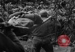 Image of Chinese soldiers Burma, 1943, second 1 stock footage video 65675076944
