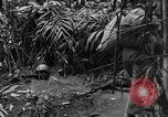 Image of Chinese soldiers Burma, 1943, second 6 stock footage video 65675076944