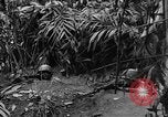 Image of Chinese soldiers Burma, 1943, second 7 stock footage video 65675076944