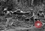 Image of Chinese soldiers Burma, 1943, second 14 stock footage video 65675076944