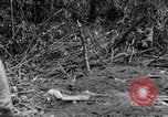 Image of Chinese soldiers Burma, 1943, second 22 stock footage video 65675076944