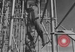 Standbild amerikanischen Fallschirmjäger United States USA, 1943, aus Sekunde 53 historischem Filmmaterial Videoclip 65675076952