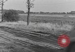 Standbild 101 Airborne Division in den Niederlanden Sohn Niederlande, 1944, aus Sekunde 15 historischem Filmmaterial Videoclip 65675076959