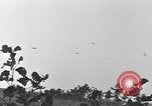 Standbild 101 Airborne Division in den Niederlanden Sohn Niederlande, 1944, aus Sekunde 26 historischem Filmmaterial Videoclip 65675076959